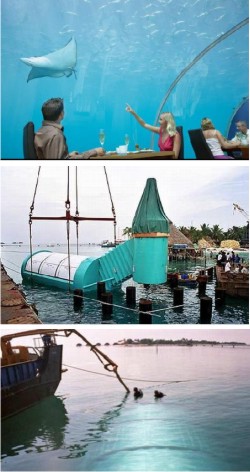 Ithaa: An Undersea Restaurant