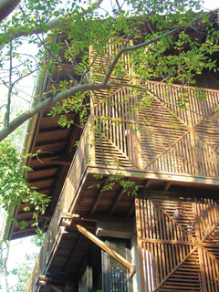 Meet C and M Architects and Associates