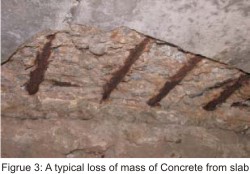 Designing Reinforced Concrete Structures for Long Life Span