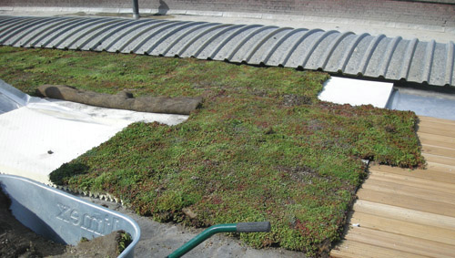 Polygrow®— Green Roof Solution