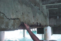 Treatise on Condition Surveys for Concrete and Masonry Structures