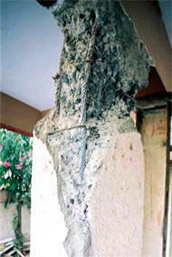 Treatise on Condition Surveys for Concrete and Masonry Structures