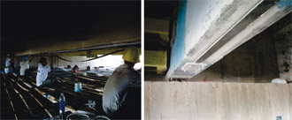 Fiber Reinforced Polymer Composites