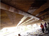 Fiber Reinforced Polymer Composites