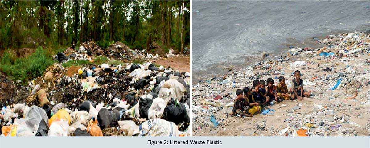 Littered Waste Plastic