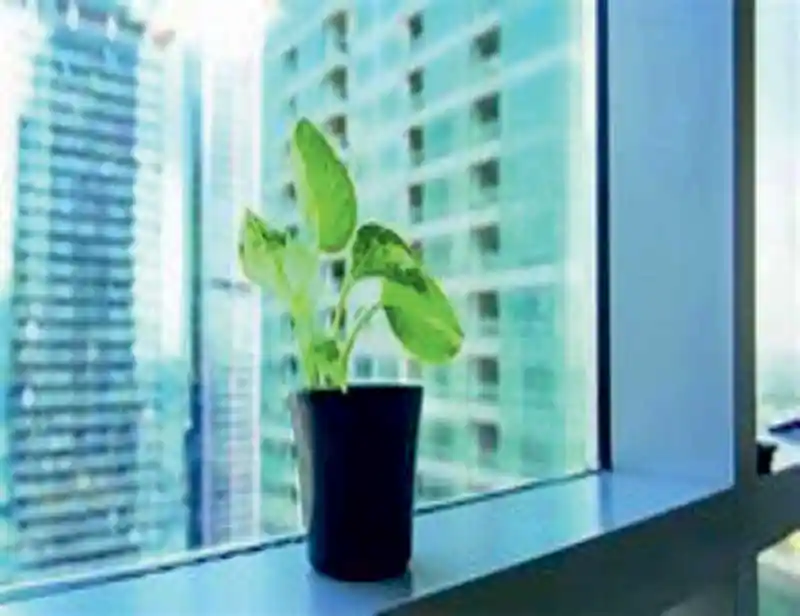 Making Urban India Sustainable Through Green Buildings