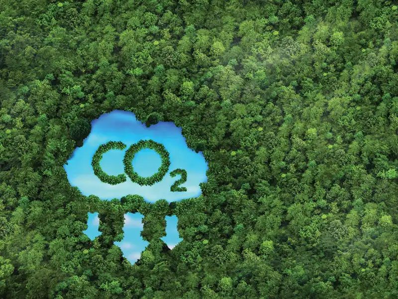 Sustainable Construction: Reducing CO2 Emissions with Innovative Solutions