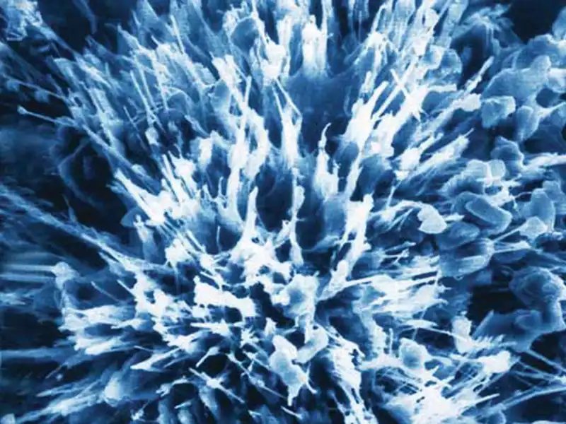 Crystalline-Waterproofing