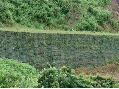 vegetation-on-the-face-of-wall-in-project