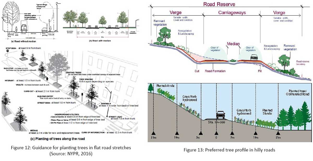 Guidance for planting trees in flat road stretches