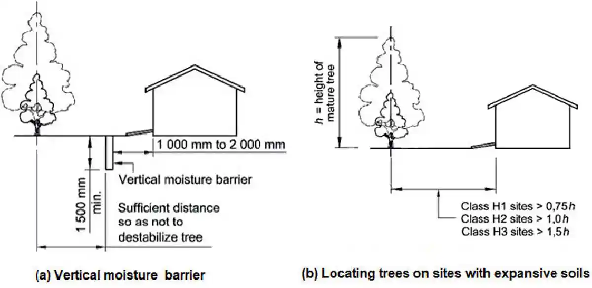 Minimum distance of trees from buildings