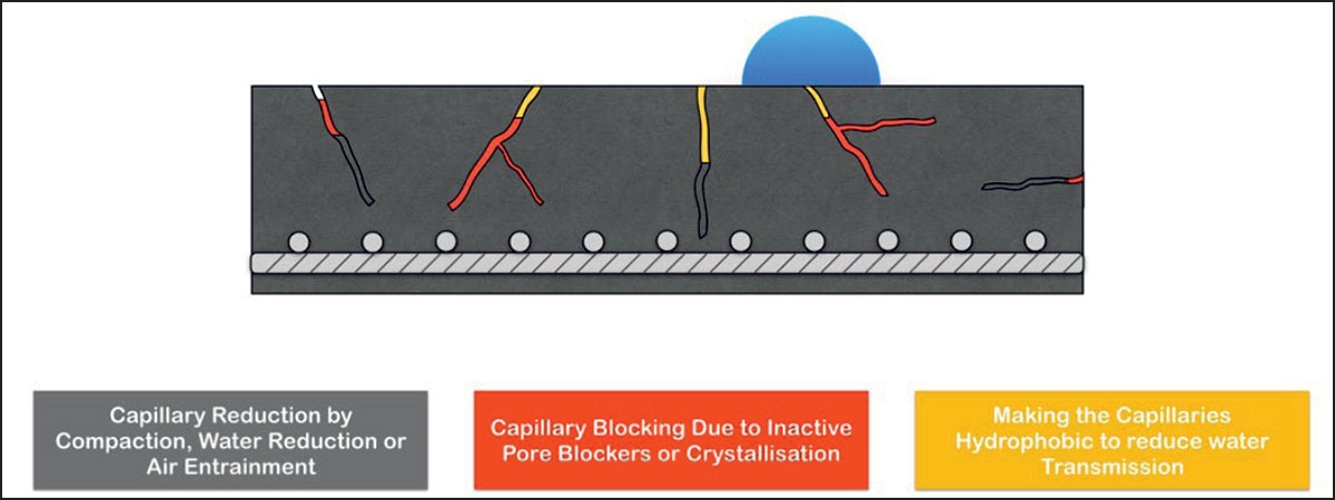 Assess Build Chem