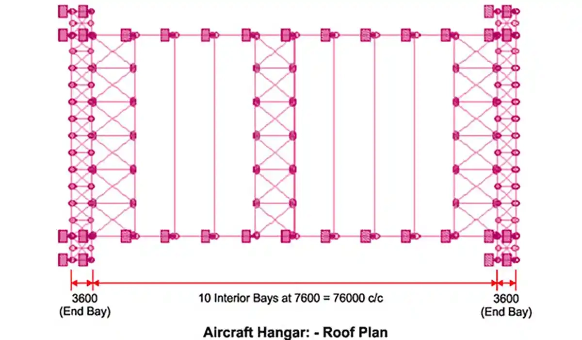 Design of Long Span Steel Structures and Hangars