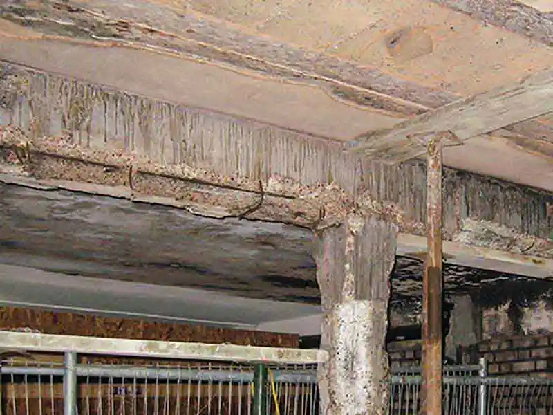 Fire Damage of Concrete Structures – Assessment and Repair