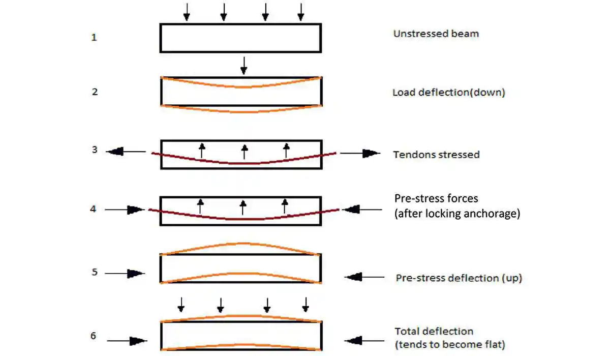 Concrete beam profile at different loading conditions during post-tensioning