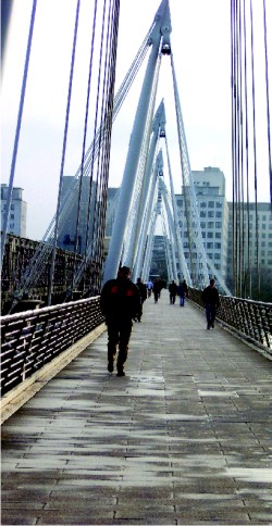Cable Suspension Footbridge