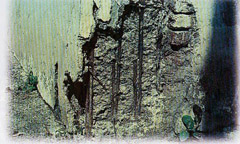 Causes for Accelerated Structural Deterioration of Reinforced Concrete