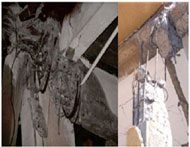 RC Beam Column
