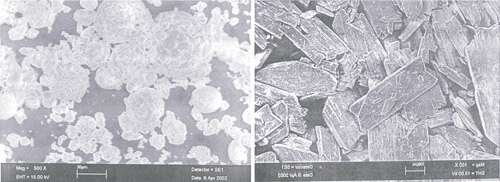 Development of Masonry Cement from Waste Chalk and Phosphogypsum