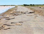 Emerging Issues for Road Construction