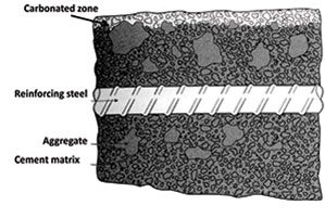 Steel Protected in Carbonated Concrete