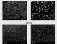 Micrographs of Polymer Blends