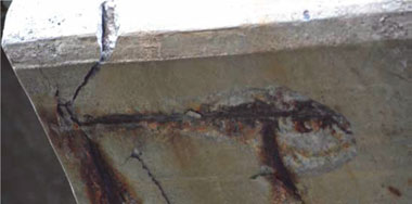 Sulphate Attack for Concrete