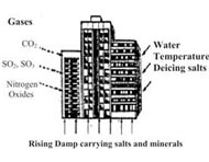 Carbonation And Corrosion of Concrete