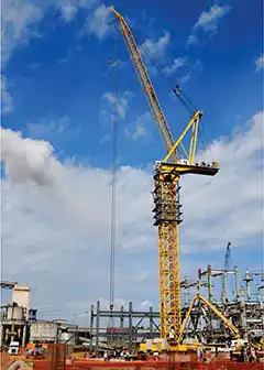 Shandong Fenghui Finehope