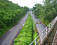 Green National Highways
