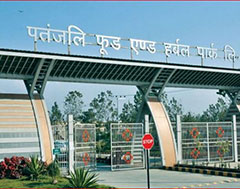 Patanjali food park