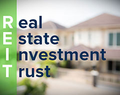 Real Estate Investment Trusts (REITs)
