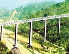 Tallest Bridge in Manipur
