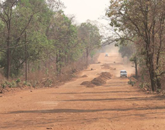 roads in moist areas