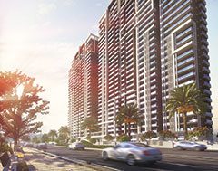 Real Estate Industry in 2019