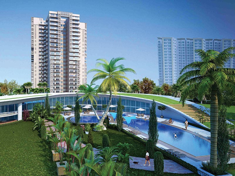 Real Estate Market Outlook 2019