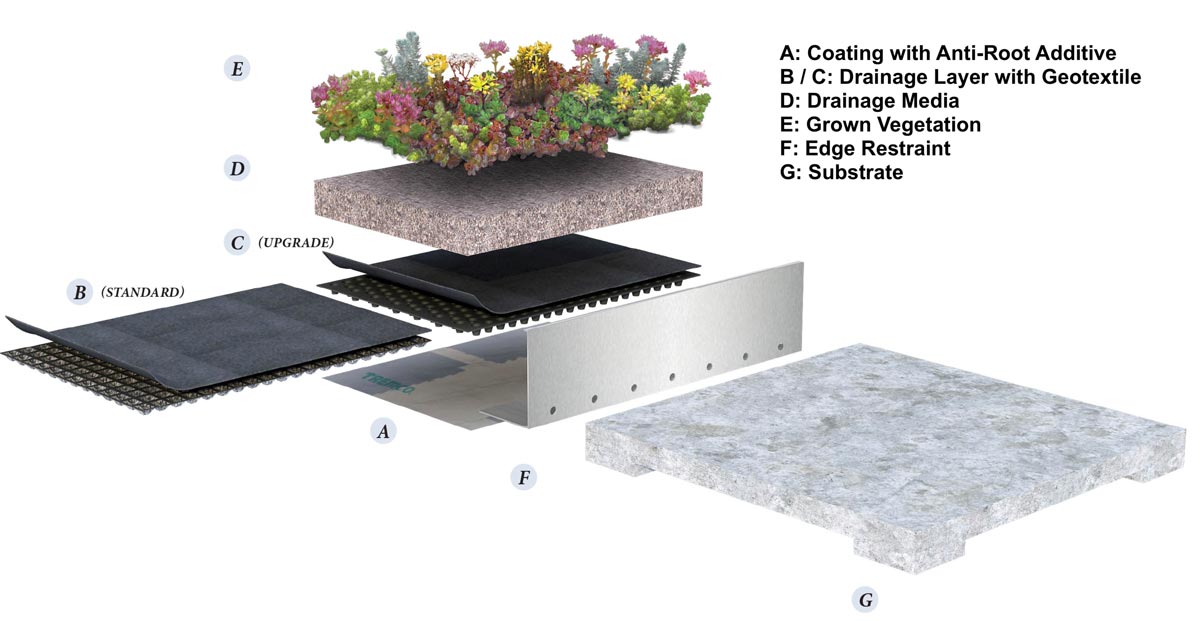 Detailing of Vegetated Planter / Slab using a coating with Anti-Root Additive