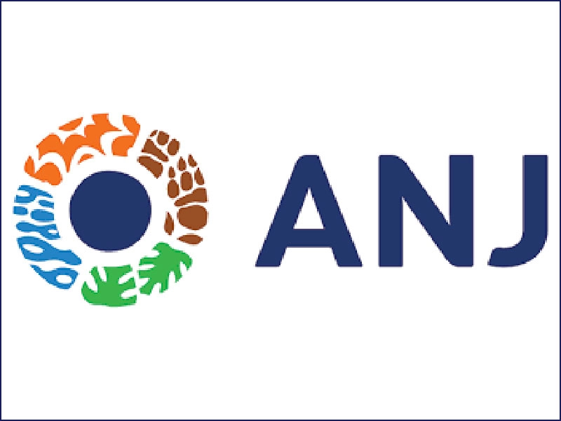ANJ Group ANJ Group