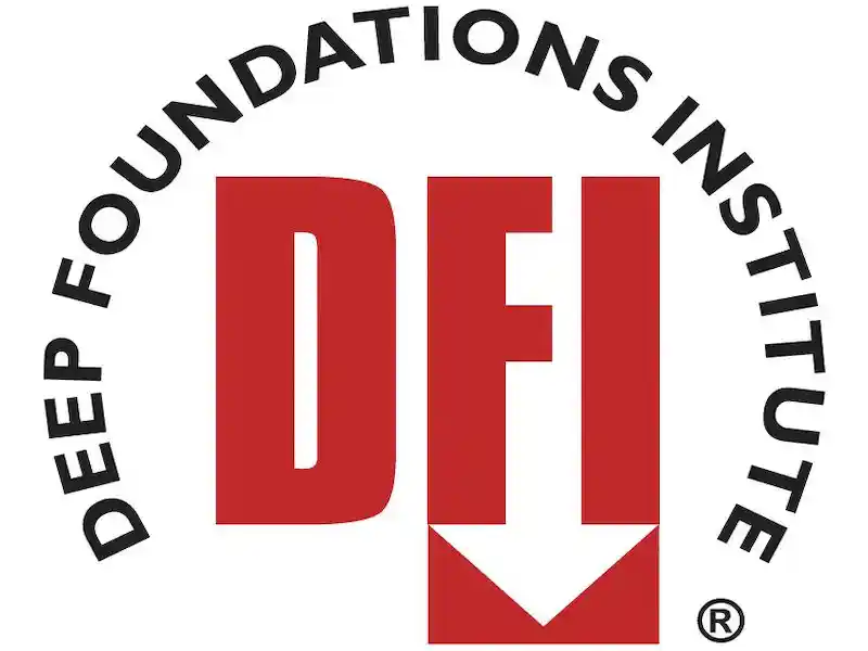 development finance institution (DFI)