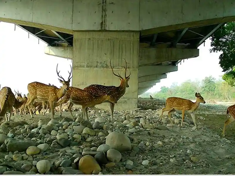 Delhi-Dehradun