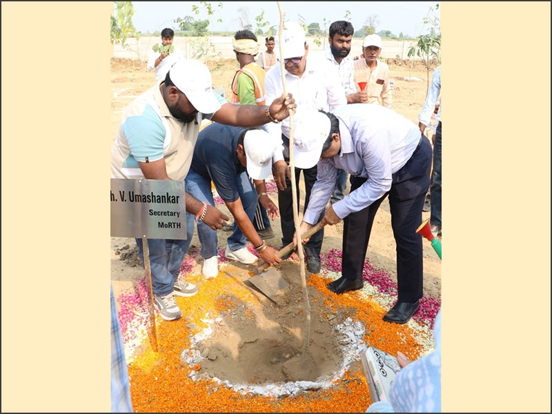 Tree Plantation To promote environmental