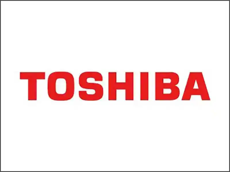 Toshiba Johnson