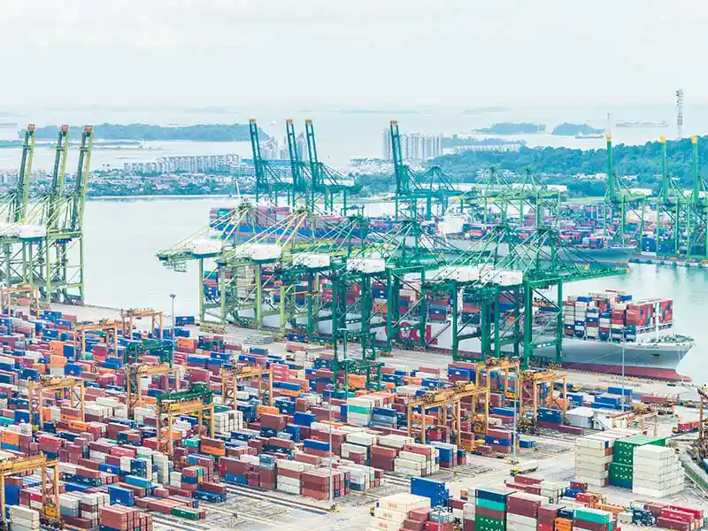 export-ship-logistics
