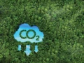 Sustainable Construction: Reducing CO2 Emissions with Innovative Solutions