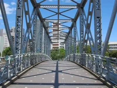 Foot-Overbridge-Delhi-Opens